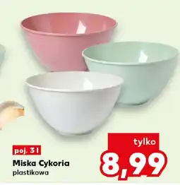 Kaufland Miska Cykoria plastikowa oferta