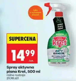 Biedronka Kret Spray aktywna piana oferta