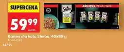 Biedronka Sheba Karma dla kota oferta