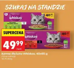 Biedronka Whiskas Karma dla kota oferta