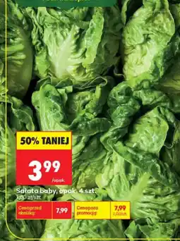 Biedronka Sałata baby oferta