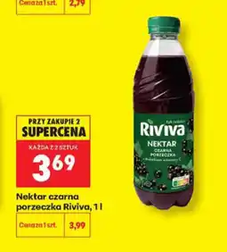 Biedronka Riviva Nektar czarna porzeczka oferta