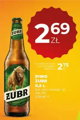 Duży Ben Piwo Żubr oferta