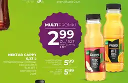 Duży Ben Nektar Cappy Pomarańczowy oferta