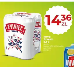 Duży Ben Piwo Żywiec 4-pak oferta