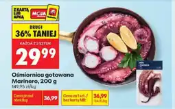 Biedronka Ośmiornica gotowana Marinero oferta