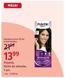 Rossmann PALETTE oferta