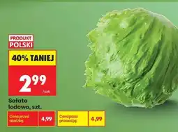 Biedronka Sałata lodowa szt oferta