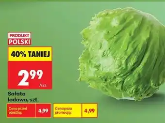 Biedronka Sałata lodowa szt oferta