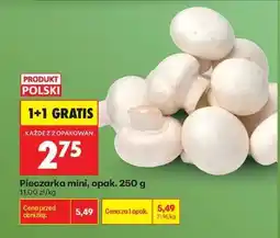 Biedronka Pieczarka mini opak . 250 g oferta