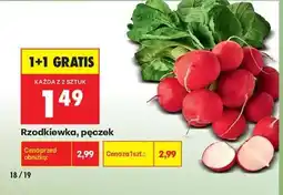 Biedronka Rzodkiewka pęczek oferta
