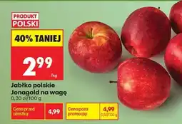 Biedronka Jabłko polskie Jonagold na wagę oferta