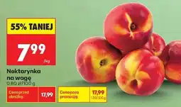 Biedronka Nektarynka na wage oferta