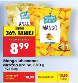 Biedronka Mango lub ananas Mroźna Kraina, 500 g oferta