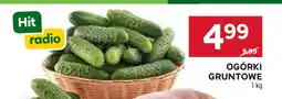 Stokrotka Market Ogórki gruntowe oferta