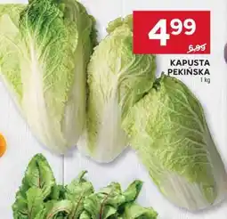 Stokrotka Market Kapusta pekińska oferta