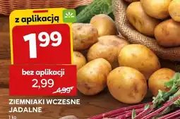 Stokrotka Market Ziemniaki wczesne jadalne oferta