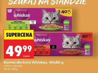 Biedronka Karma dla kota Whiskas, 40x85 g oferta