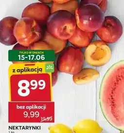 Stokrotka Market Nektarynki oferta