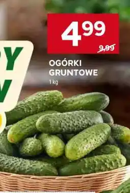 Stokrotka Market Ogórki gruntowe oferta