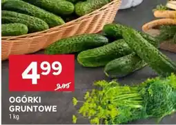 Stokrotka Market Ogórki gruntowe oferta