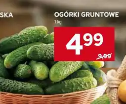 Stokrotka Market Ogórki gruntowe oferta