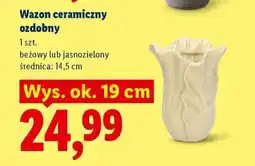 Lidl Wazon ceramiczny ozdobny oferta