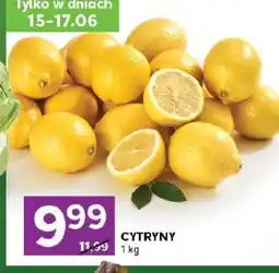 Stokrotka Offer oferta