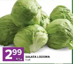 Stokrotka Offer oferta
