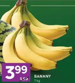 Stokrotka Offer oferta
