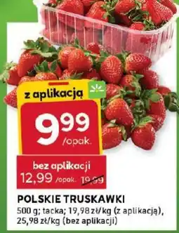 Stokrotka Offer oferta