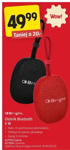 Jula Bright Głośnik Bluetooth 5 W oferta