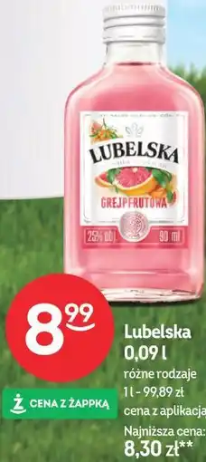 Żabka Lubelska oferta