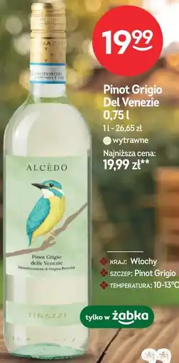 Żabka Pinot Grigio Del Venezie oferta