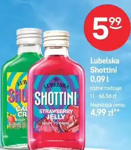 Żabka Lubelska Shottini oferta