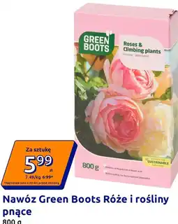 Action Nawóz Green Boots Róże i rośliny pnące oferta