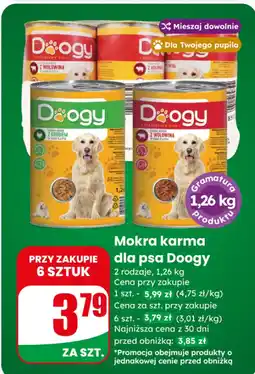 Dino Mokra karma dla psa Doogy oferta