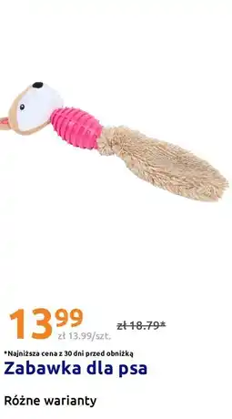 Action Zabawka dla psa oferta