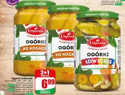 Dino Ogórki Urbanek oferta
