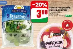 Dino Sole Gusto Sałata roszponka, rukola, szpinak oferta