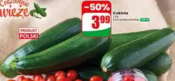 Dino Cukinia oferta