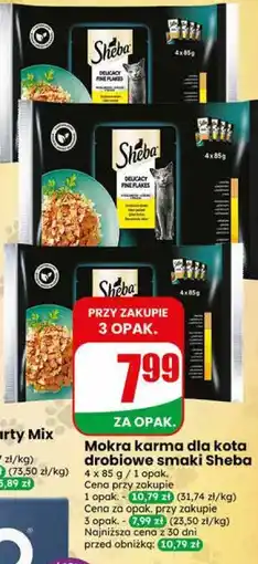 Dino Mokra karma dla kota drobiowe smaki Sheba oferta