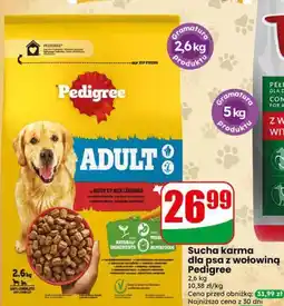 Dino Sucha karma dla psa z wołowiną Pedigree oferta