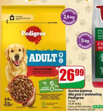 Dino Sucha karma dla psa z wołowiną Pedigree oferta