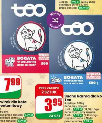 Dino Sucha karma dla kota Teo oferta