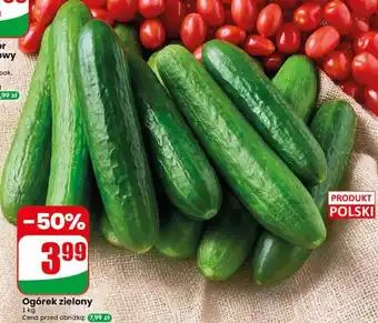Dino Ogórek zielony oferta