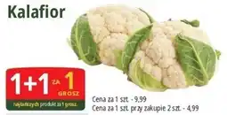 E.Leclerc Kalafior oferta