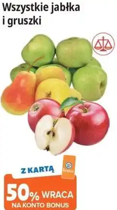 E.Leclerc Wszystkie jabłka i gruszki oferta