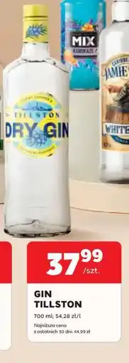 Stokrotka GIN TILLSTON oferta