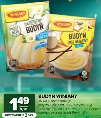 Stokrotka Budyń Winiary oferta